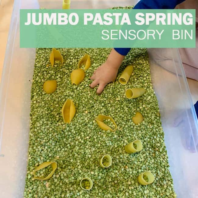 jumbo pasta spring sensory bin pinterest