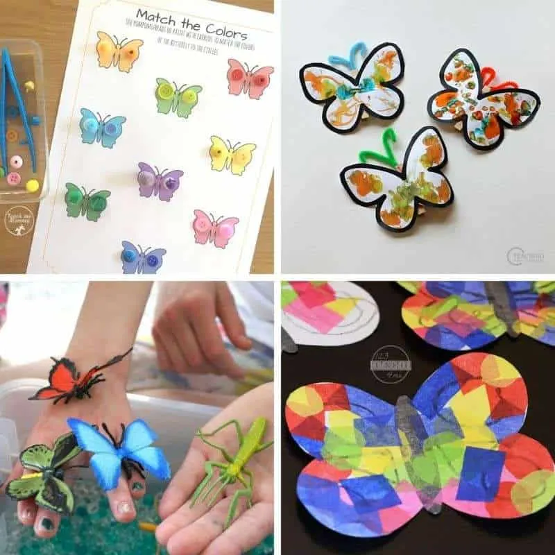 Having Fun at Home: Amazing Balancing Butterfly Craft