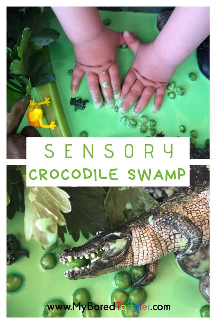 Sensory Crocodile Swamp Small World 