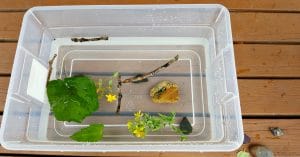 Sink and Float Water Play with Natural Materials - My Bored Toddler
