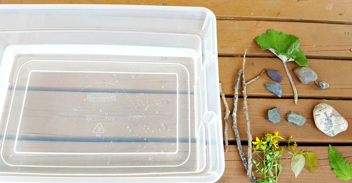 Sink and float sensory play with water and natural materials