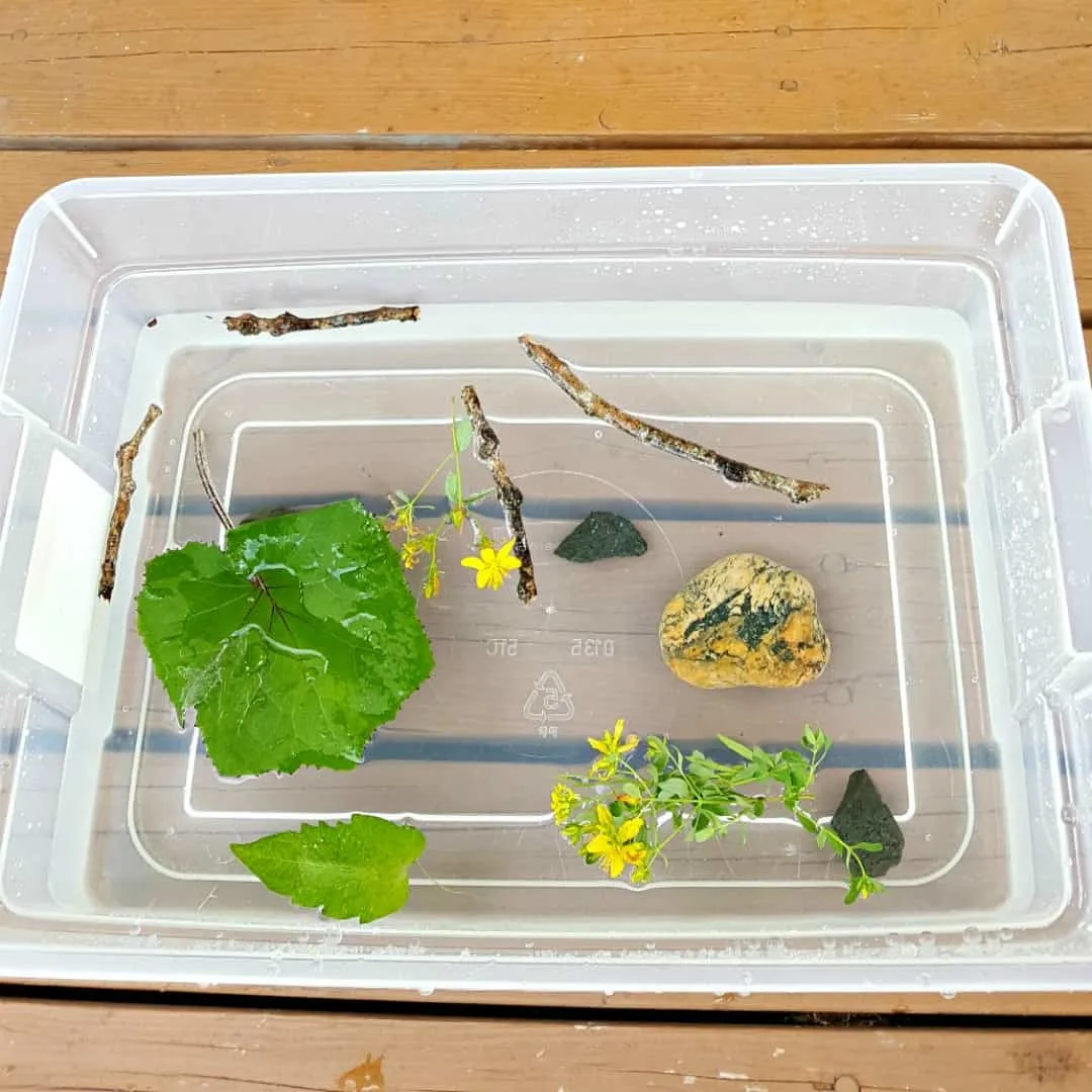 Sink and float water play with natural materials