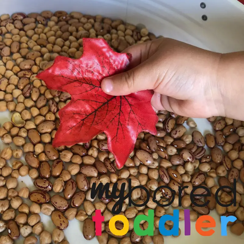 Autumn Fall Sensory Bin using scooping and Pouring 6