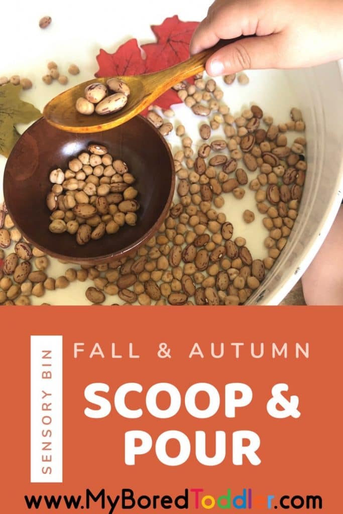 Autumn / Fall Scoop and Pour Sensory Bin - My Bored Toddler