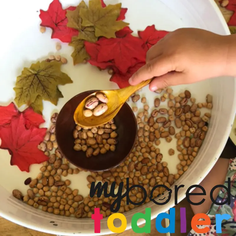 Autumn sensory bin scooping and pouring image 5