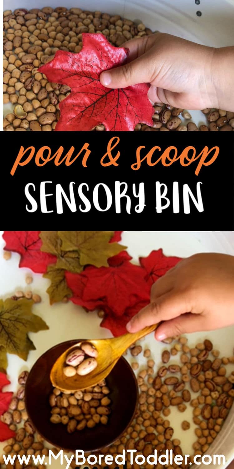 pour and scoop sensory bin for Fall or Autumn for toddlers pinterest 2