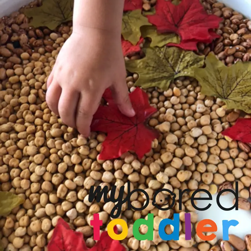 scooping and pouring autumn and fall sensory bin image 3