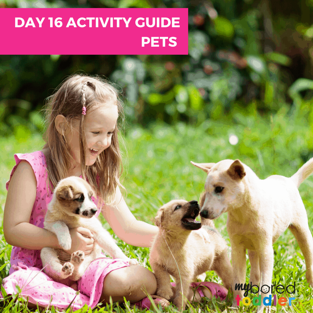 pets indoor activities for toddlers My Bored Toddler