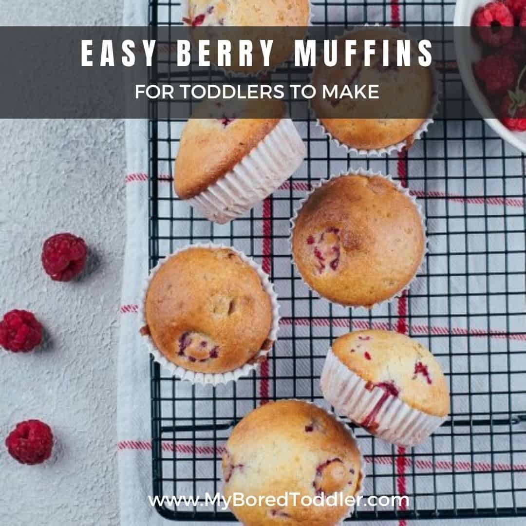 EASY BERRY MUFFINS FOR TODDLERS TO MAKE FEATURE