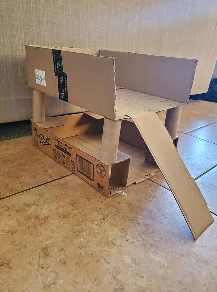 Cardboard Creations for Kids