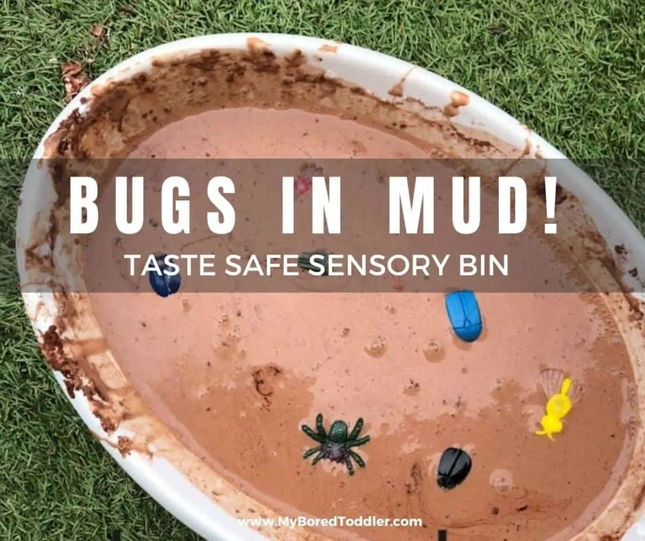 bugs in mud tasate safe sensory bin
