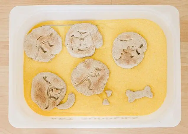 dinosaur fossils sensory bin for toddlers 