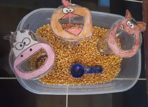 feed the farm animals sensory bin