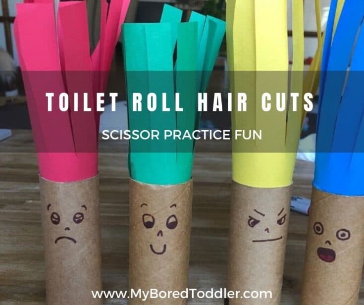 Toilet Roll Crazy Hair Cuts Fine Motor Fun Facebook My Bored Toddler Toilet Roll Crazy Hair Cuts Fine Motor Fun Facebook My Bored Toddler