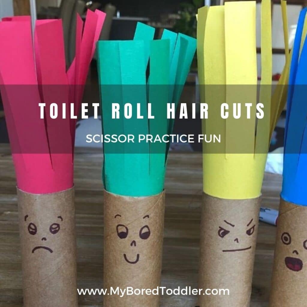 Toilet Roll Haircuts