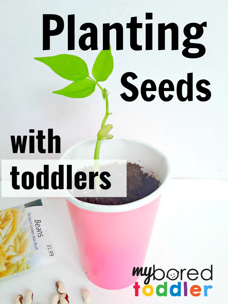 Planting Seeds with Toddlers 