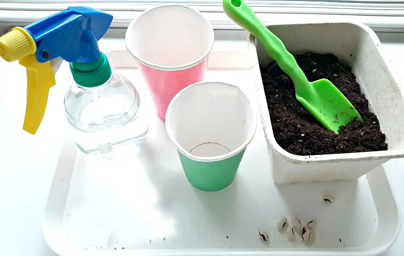 Planting Seeds with Toddlers