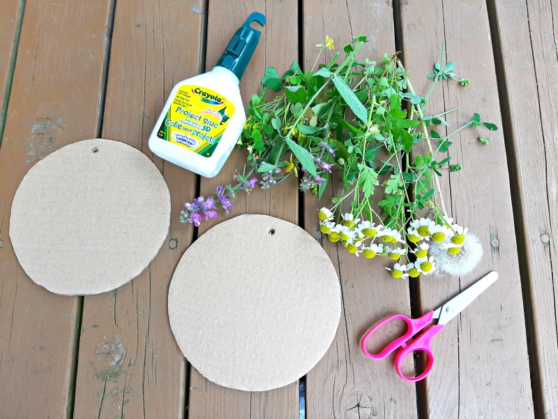 Pick flowers and leaves for a nature craft - My Bored Toddler