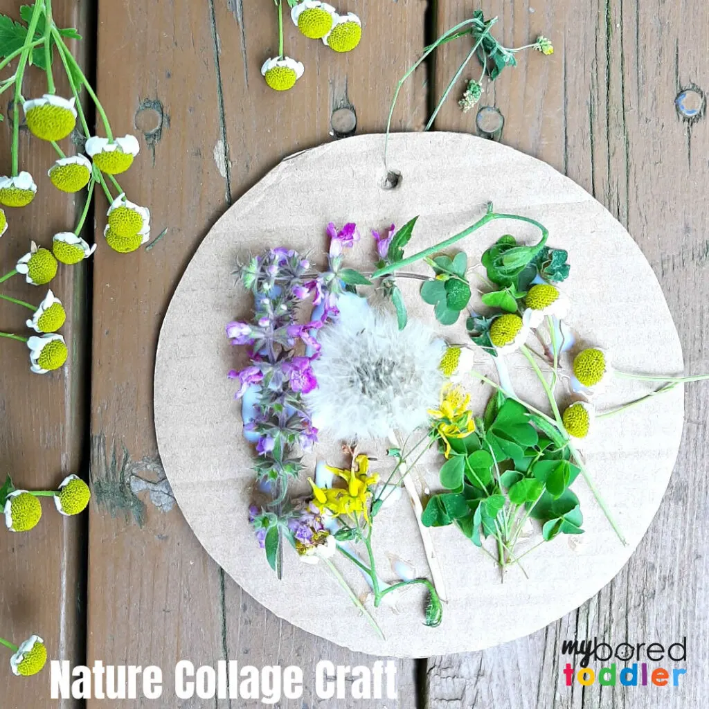 Nature Collage Craft 