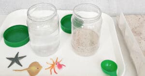 Simple Sand and Water Science Activity for Toddlers - My Bored Toddler