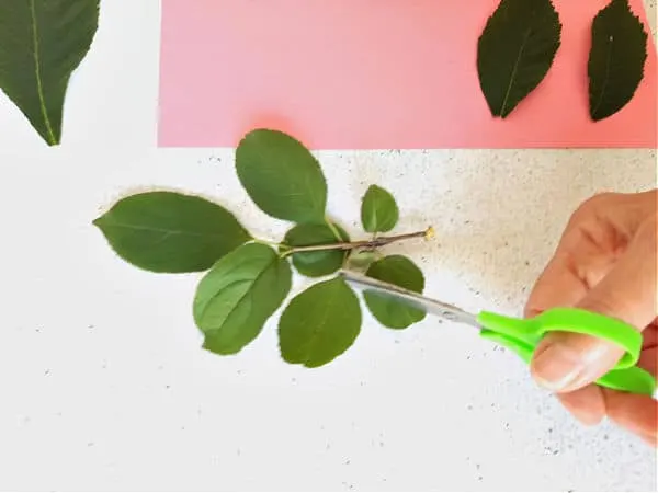 Leaf Family Toddler Craft