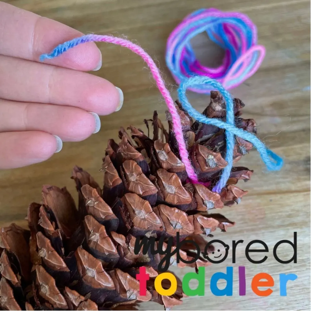 Wool Wrapped Pine Cones