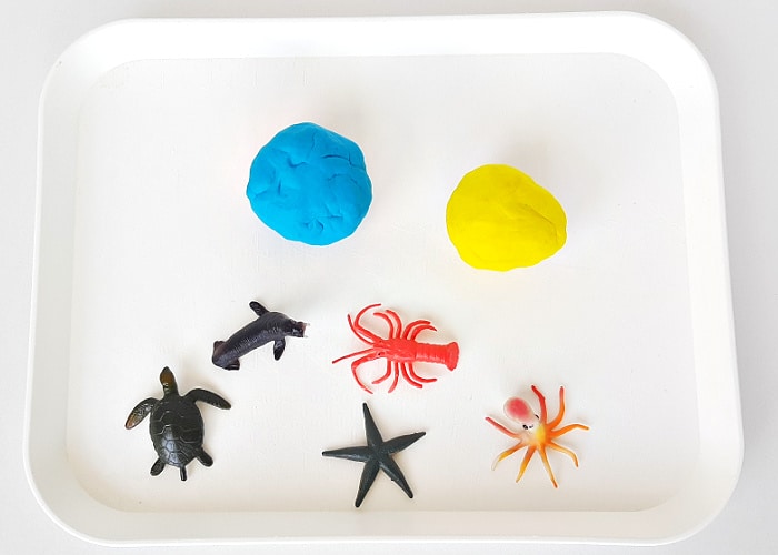 Ocean Animals Playdough Activity