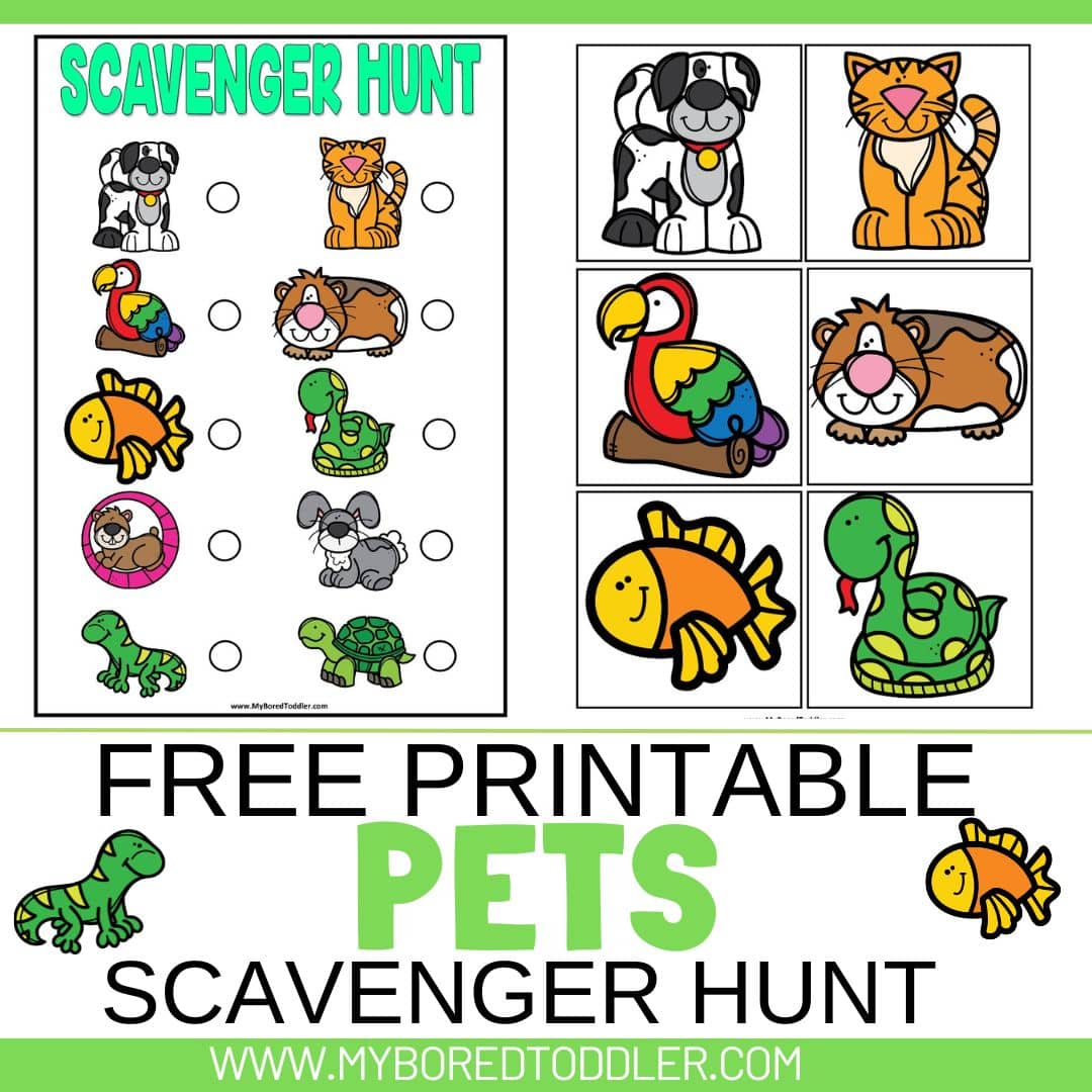 free printable pets scavenger hunt toddlers preschool