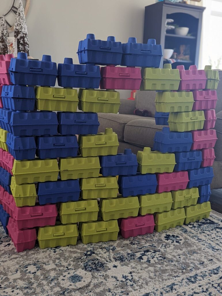 Egg carton building 