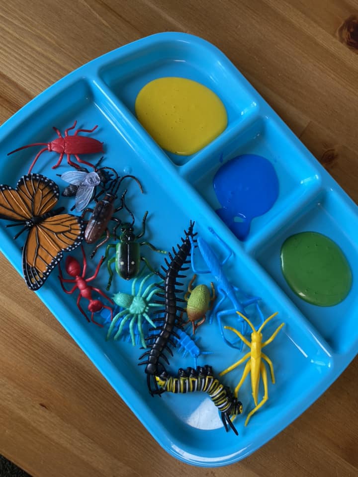 painting with bugs kate