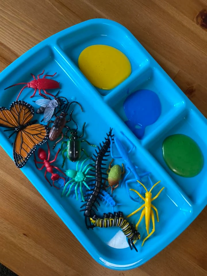 painting with bugs kate