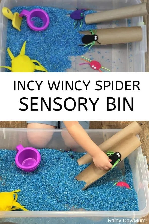 incy wincy spider sensroy bin