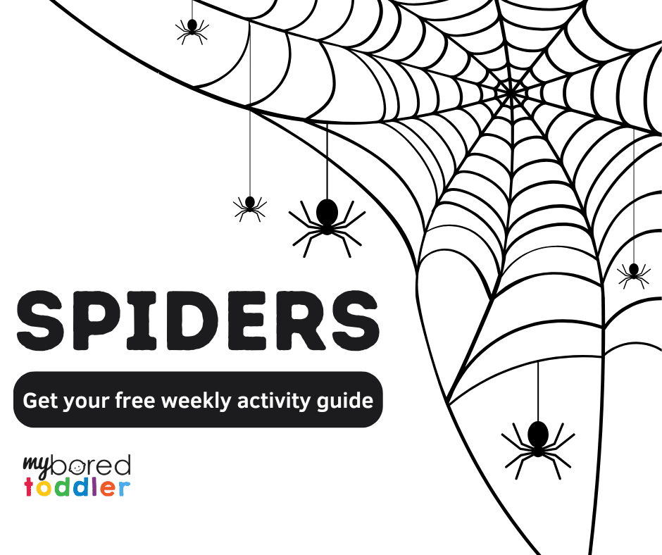 Spiders weekly toddler activity plan 