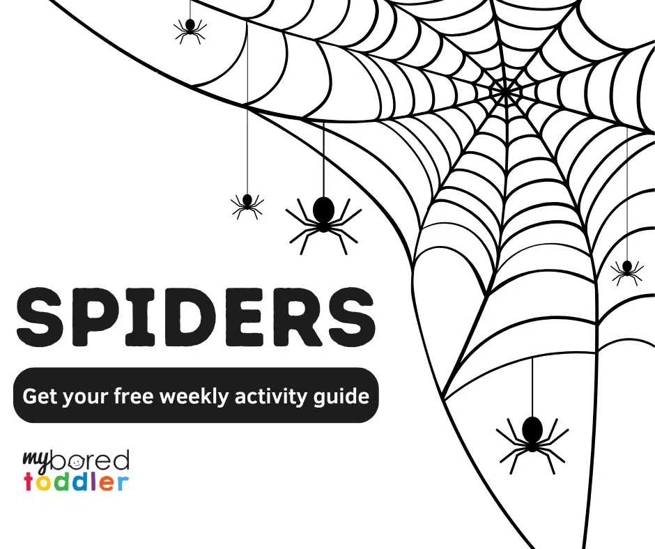 Spiders weekly toddler activity plan