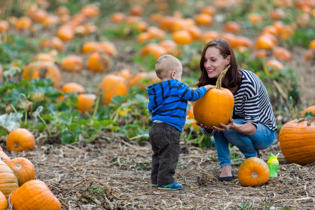 pumpkin patch toddler activity 